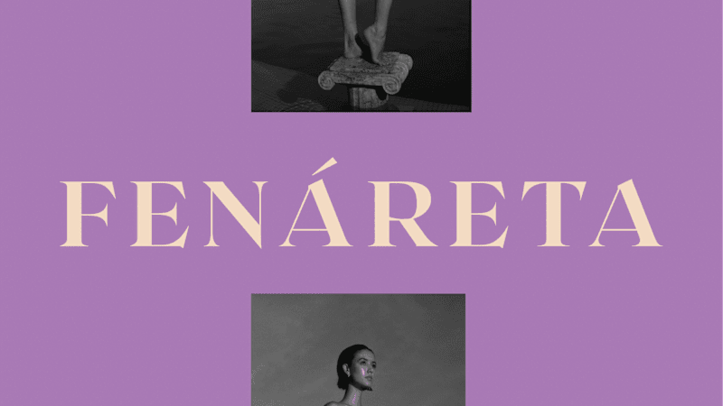 Cover image for Fenáreta