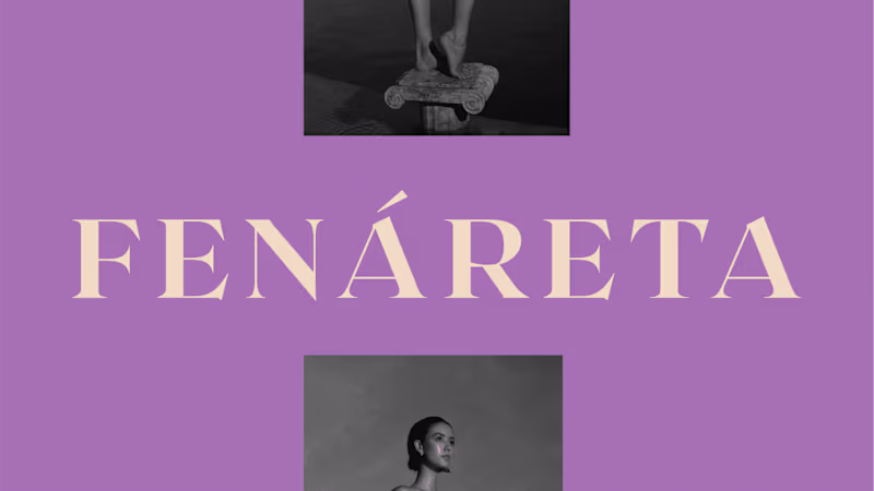 Cover image for Fenáreta