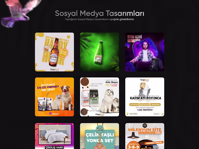 Cover image for Graphic Design Service