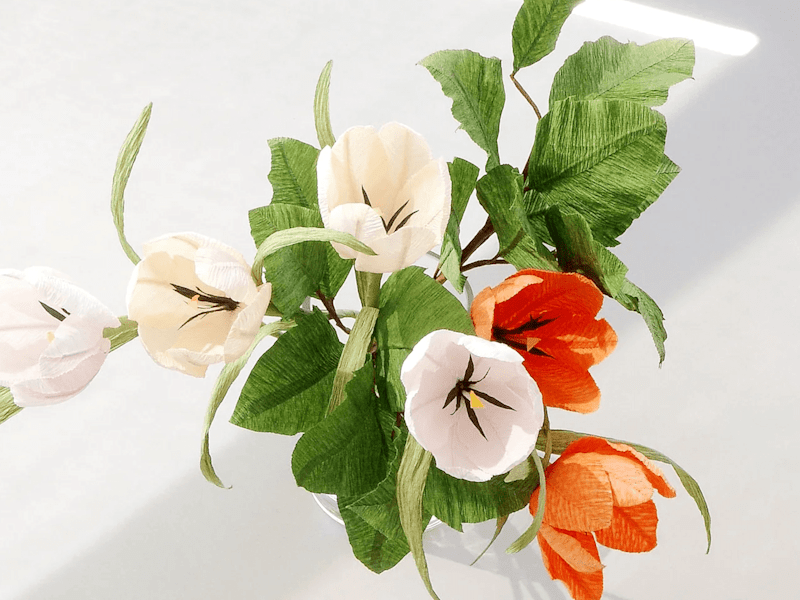 Cover image for unwilted 💐 Klaviyo Marketing Audit & Analytics Reporting
