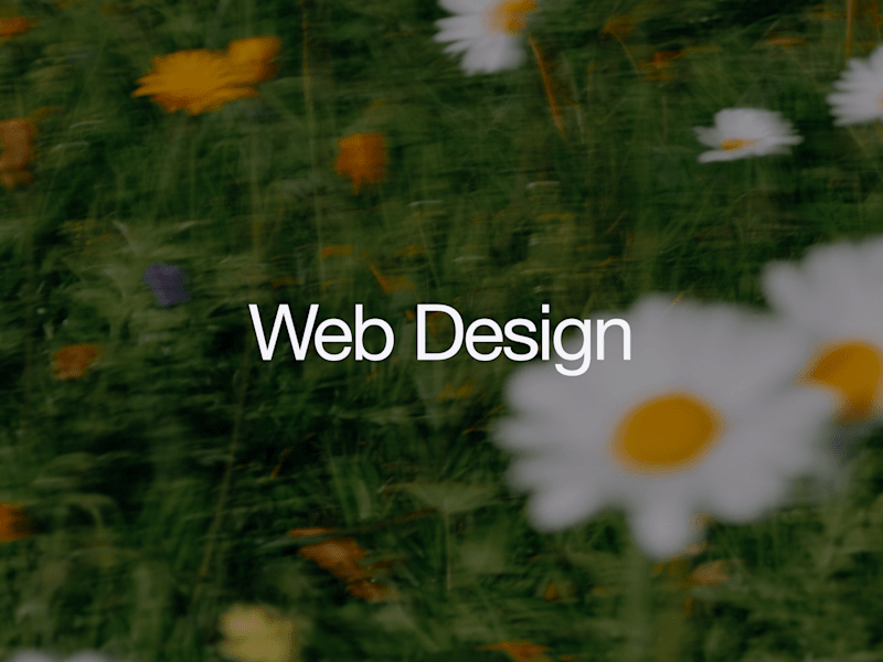 Cover image for Website Design & Development