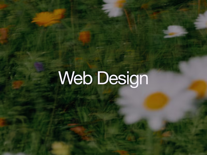 Cover image for Website Design & Development