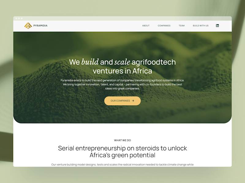 Cover image for Pyramidia Ventures Website Redesign