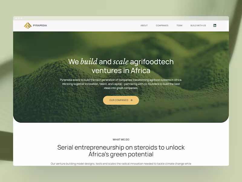 Cover image for Pyramidia Ventures Website Redesign