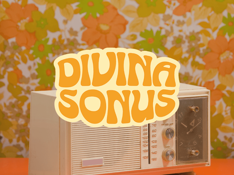 Cover image for Divina Sonus Brand Design