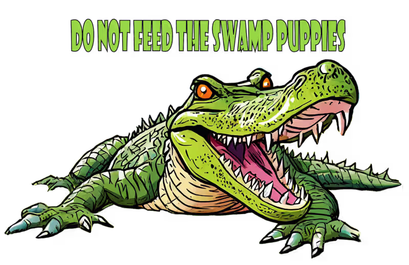 Cover image for Engaging and fun T-shirt designs