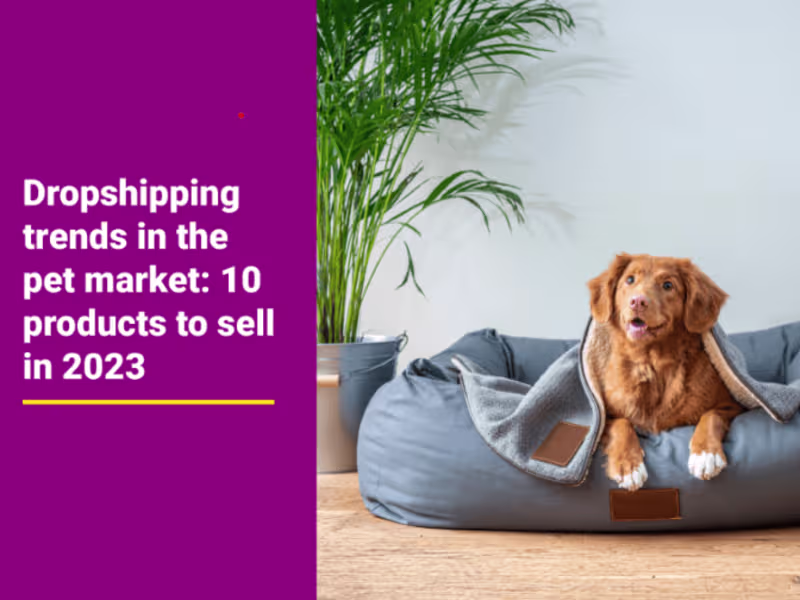 Cover image for SEO Article for Pet Products