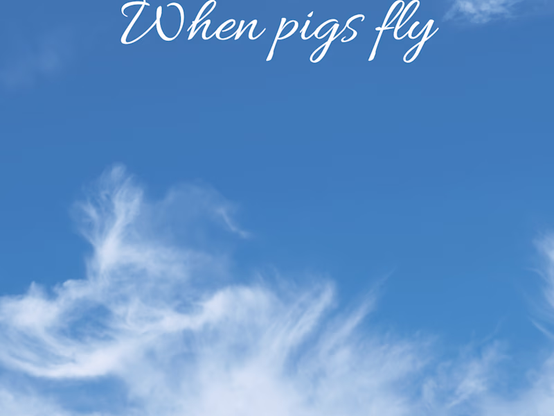 Cover image for When pigs fly