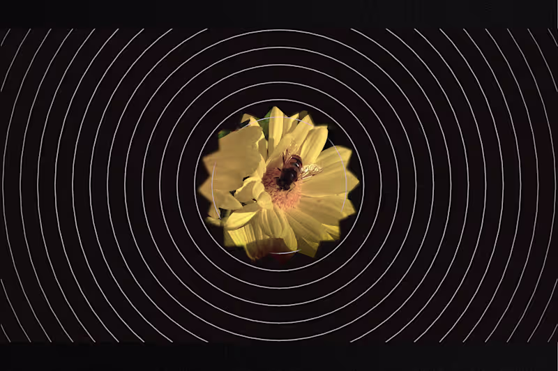 Cover image for 1STi - Deep Tech -