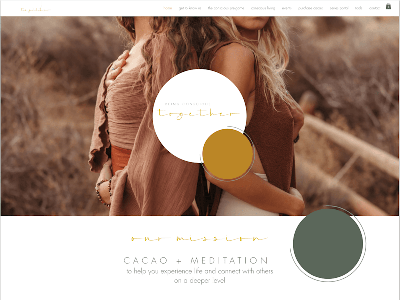 Cover image for Wix Website Design + Development | together