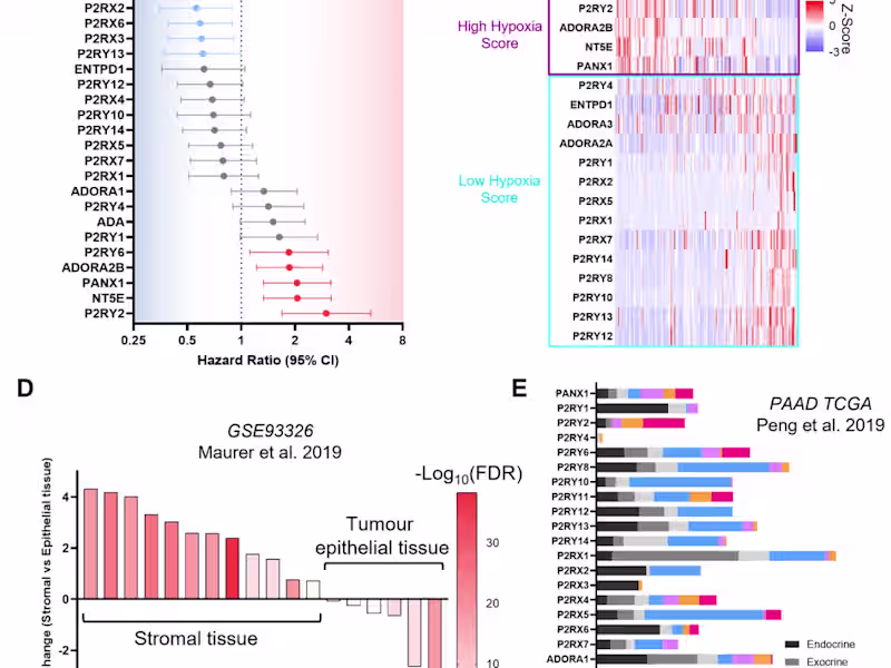 Cover image for Complete Cancer Target Characterisation with Public Datasets