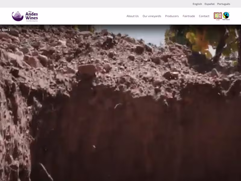 Cover image for The Andes Wines