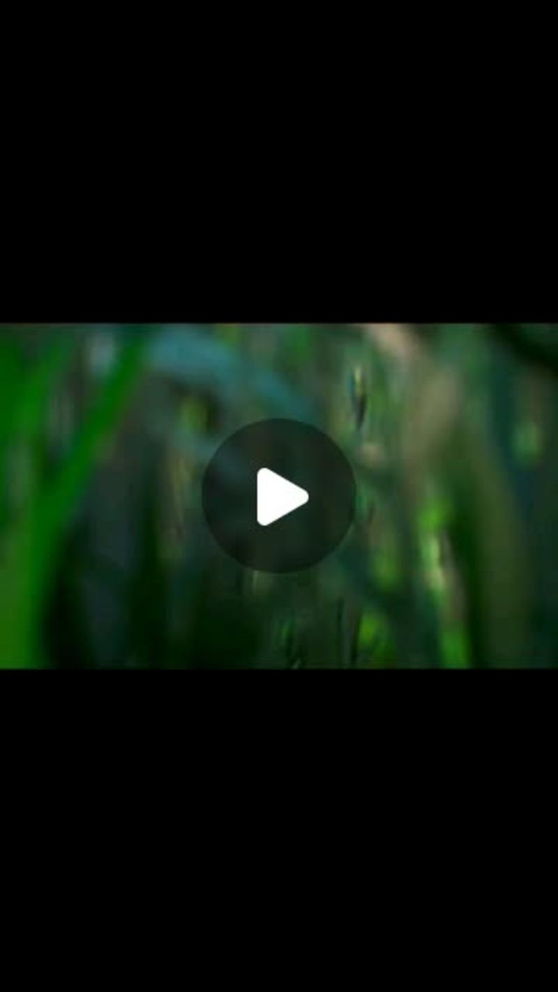 Cover image for 3D Animation with Unreal Engine 4