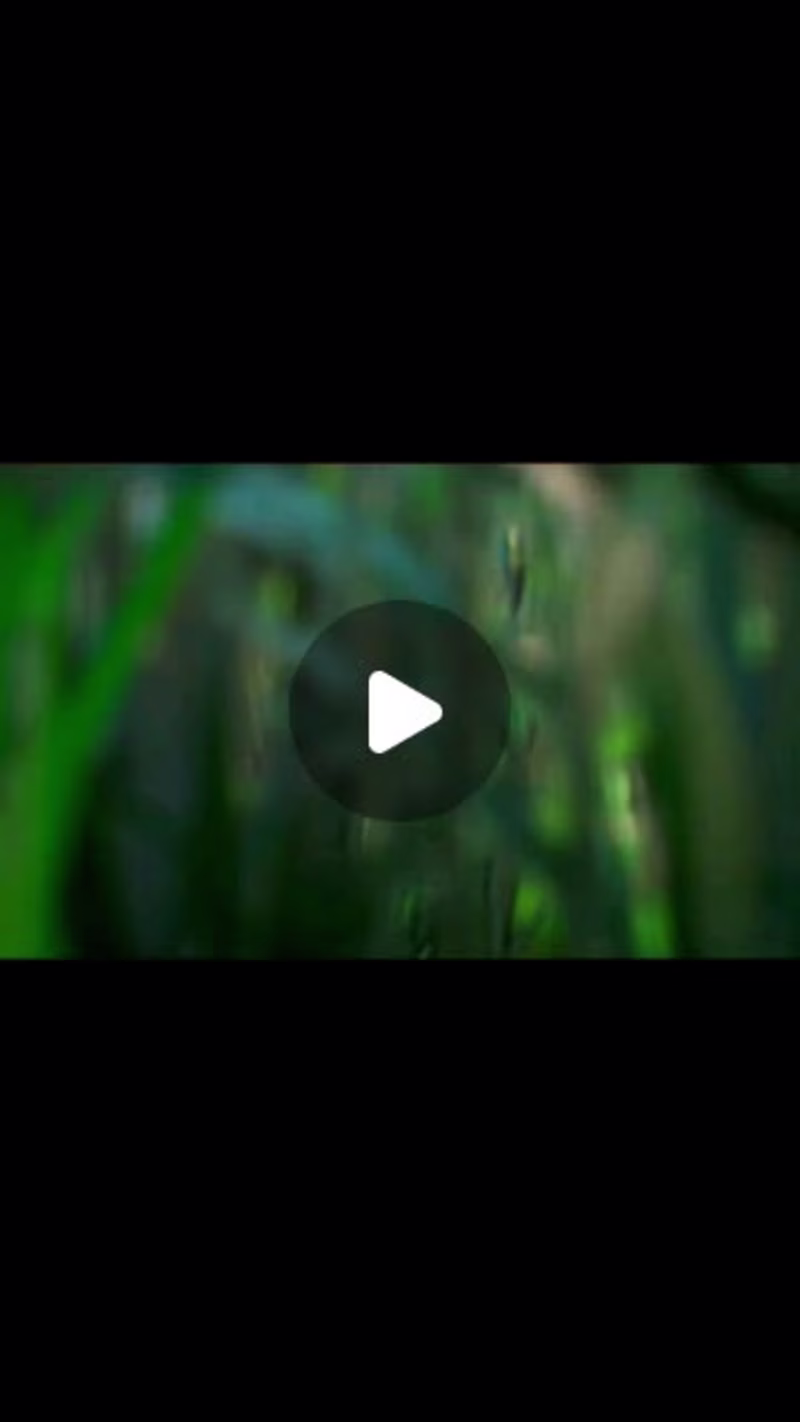 Cover image for 3D Animation with Unreal Engine 4