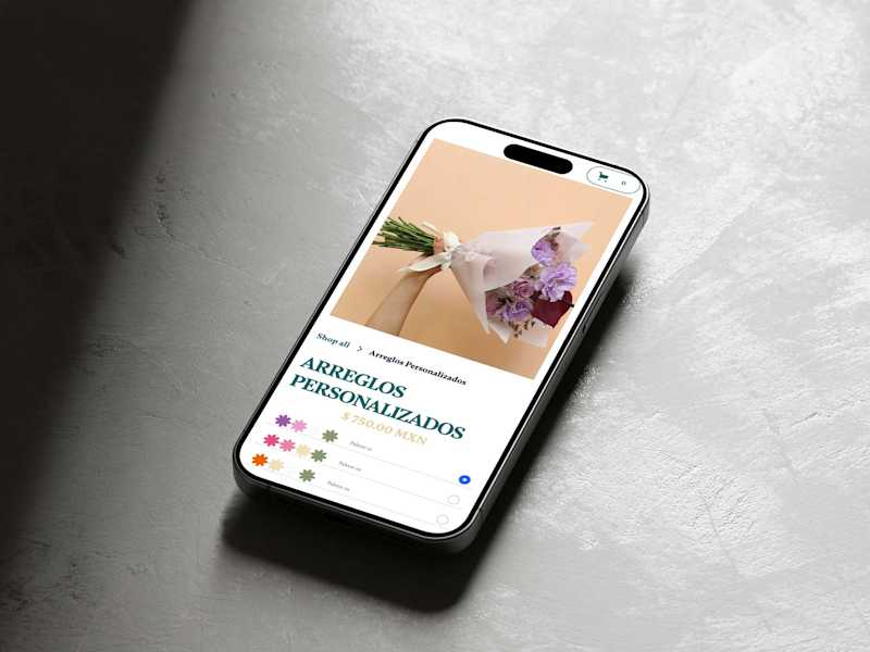 Cover image for E-Commerce Website with CMS