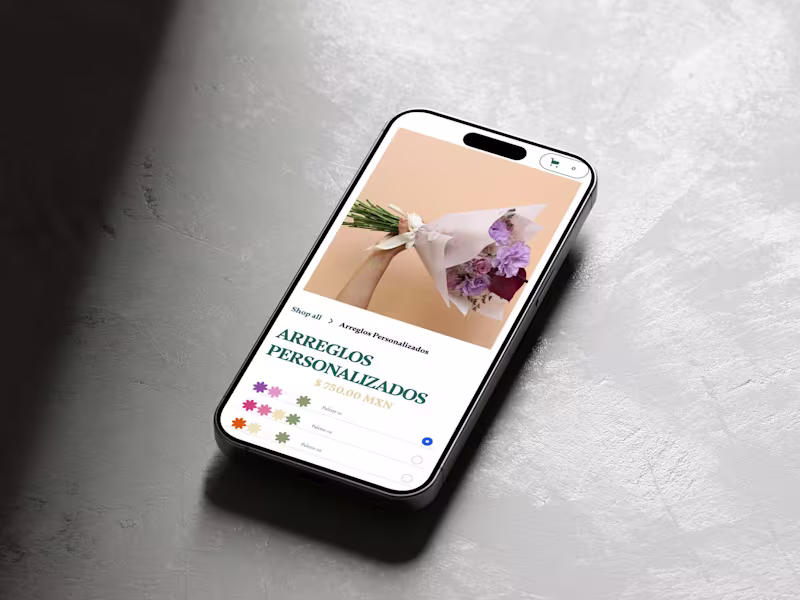 Cover image for E-Commerce Website with CMS