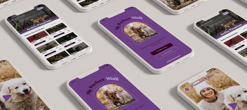 Cover image for Dog Walking App Design