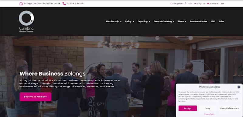 Cover image for WordPress website build with Elementor