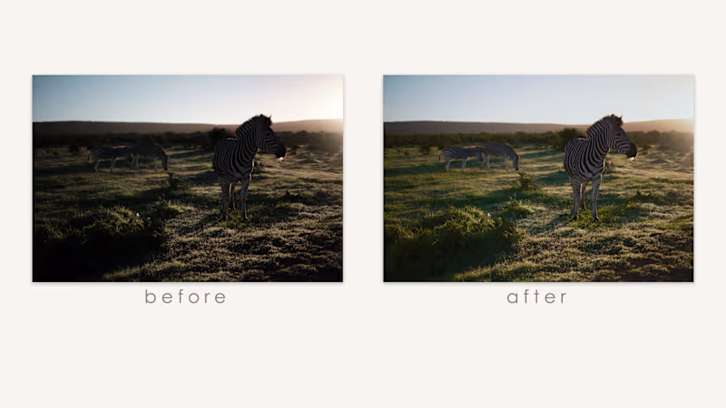 Cover image for The objective for this image