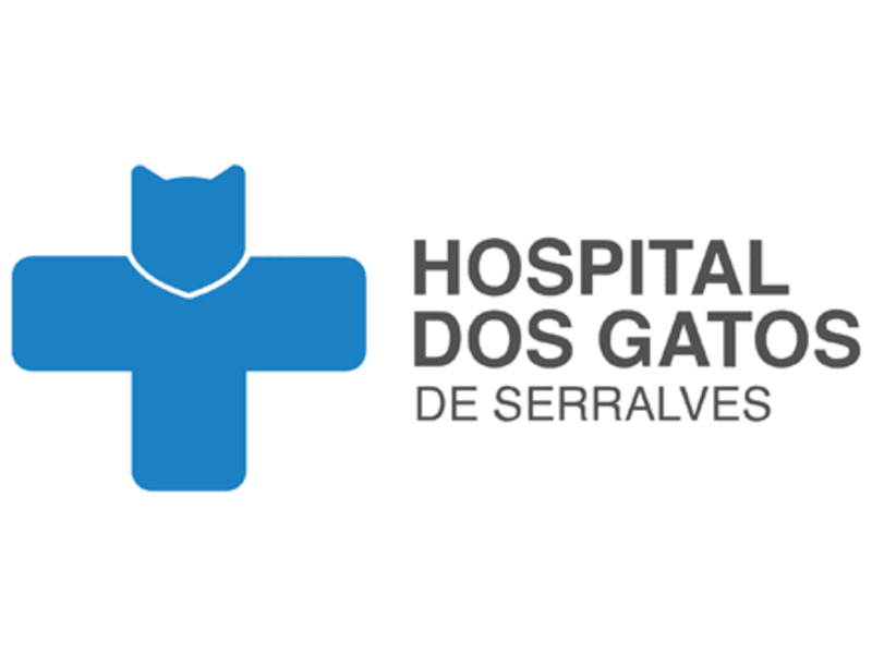 Cover image for Hospital dos Gatos de Serralves - Porto