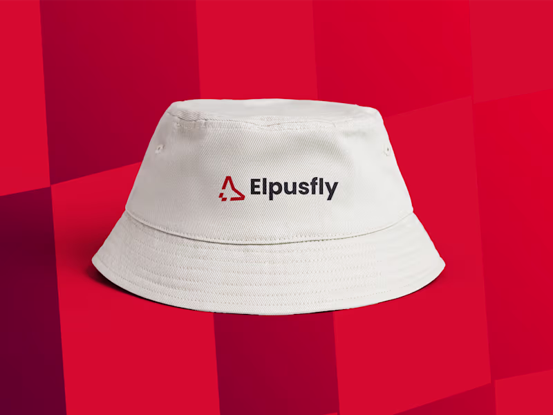 Cover image for Elpusfly | Logo and Brand Identity Design