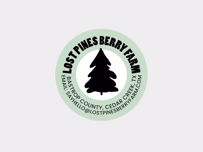 Cover image for Graphic Design