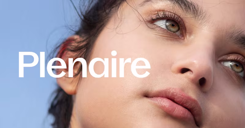 Cover image for Plenaire