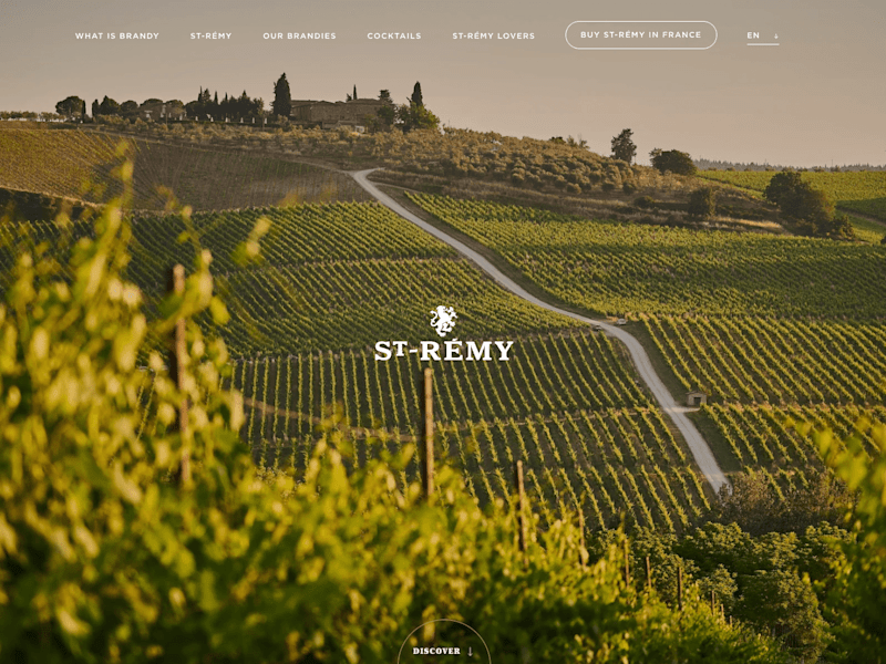 Cover image for St-Remy