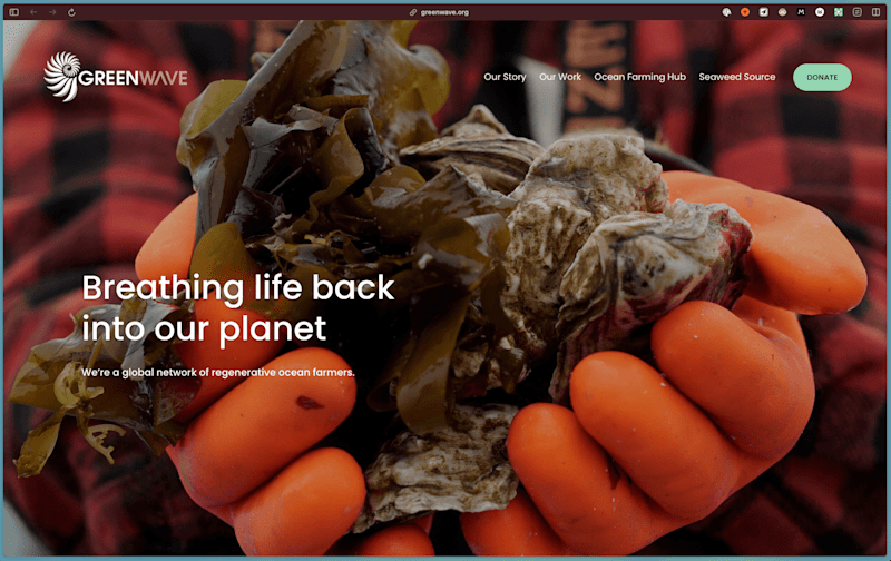 Cover image for Brand & Website redesign for mission driven climate nonprofit