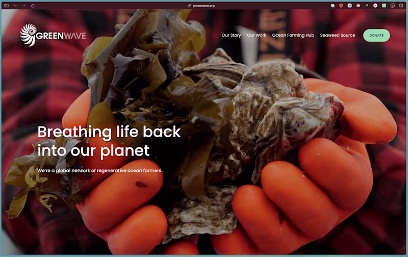 Cover image for Brand & Website redesign for mission driven climate nonprofit