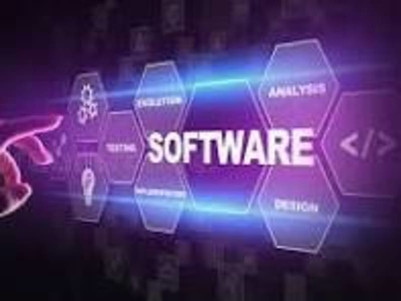 Cover image for Effective Business Management in the Software Industry