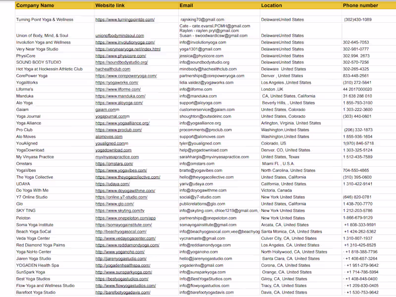 Cover image for Yoga Studio Data Collection & Influencer Collaboration 