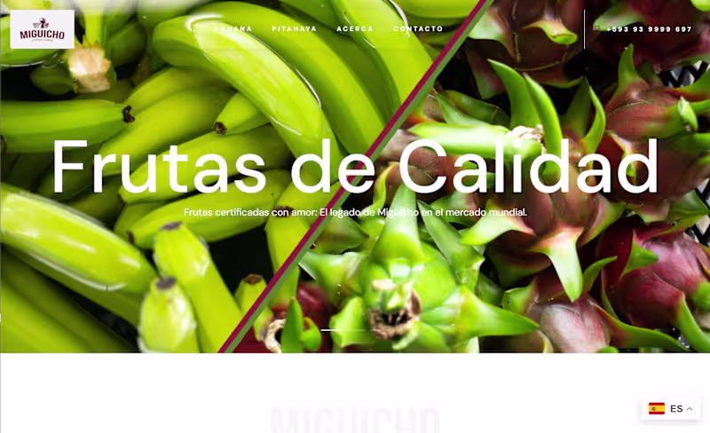 Cover image for Miguicho Web