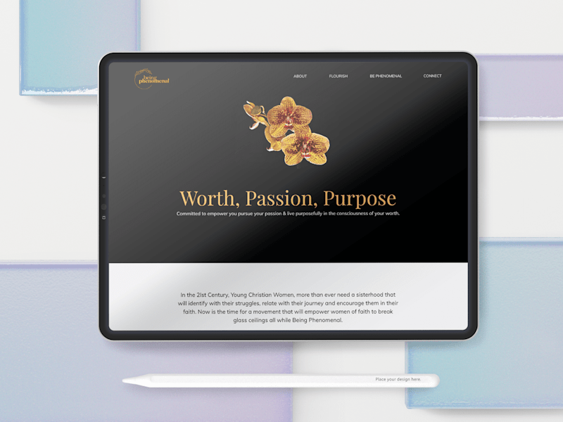 Cover image for Social Organisation Website Design & Development