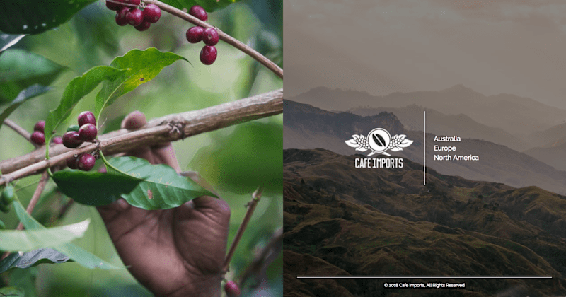 Cover image for Cafe Imports