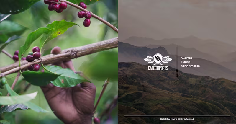 Cover image for Cafe Imports