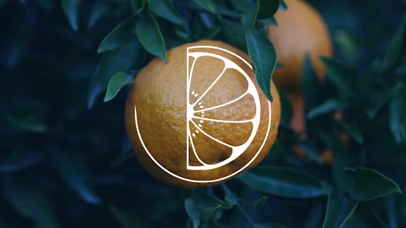 Cover image for Visual Identity for Nutritionist Daniele on Behance