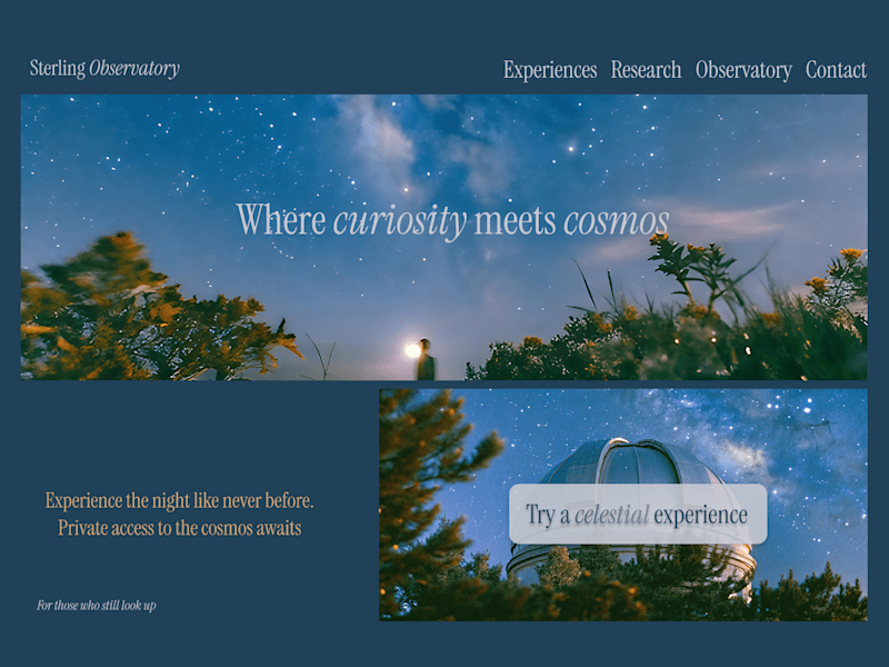 Cover image for "Stunning Sites, Built for Impact"