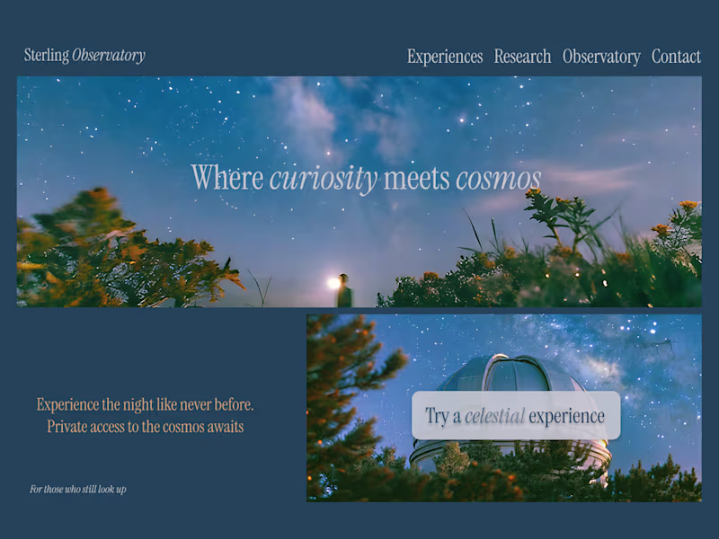Cover image for "Stunning Sites, Built for Impact"