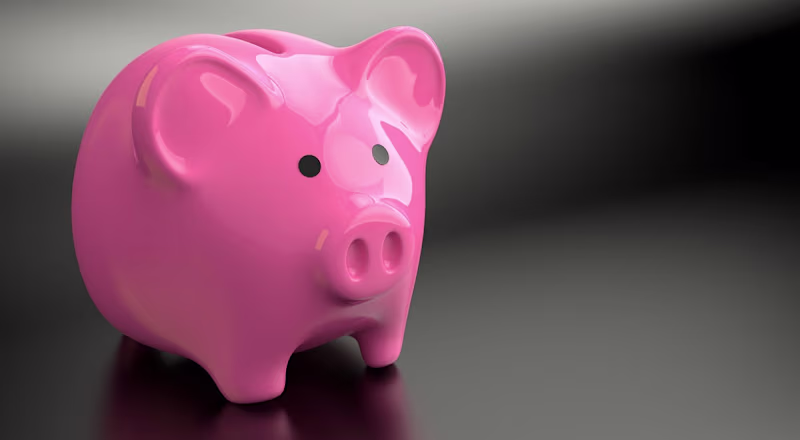 Cover image for Emergency Fund Basics