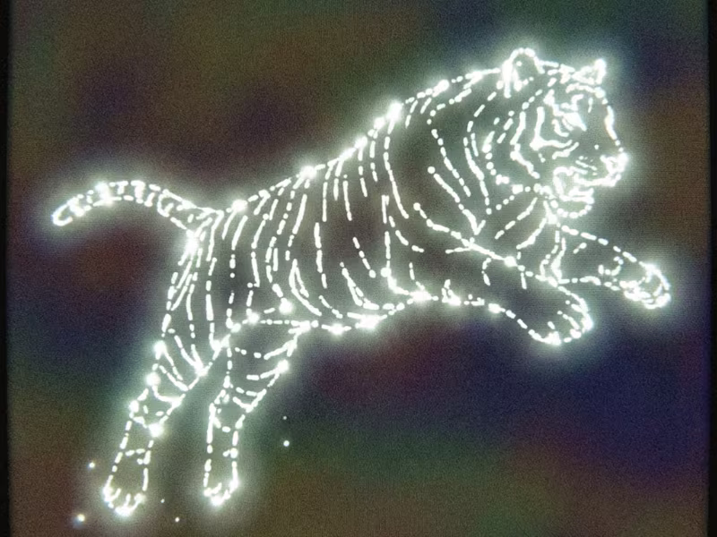 Cover image for Personal Brand Strategy & Design