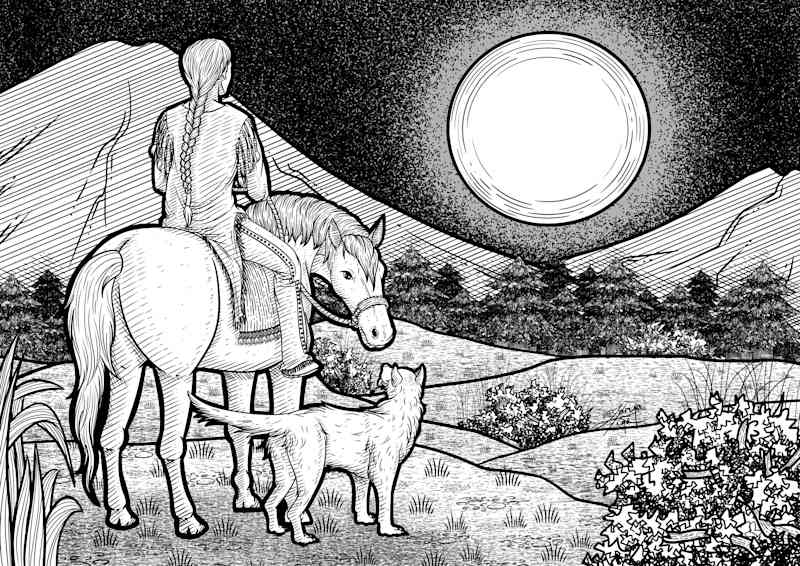 Cover image for Illustrations for a Blog