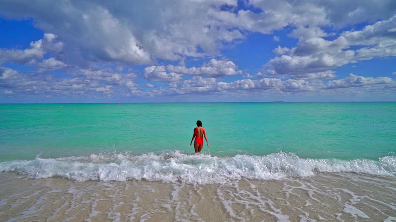 Cover image for Exploring Florida's Hidden Gems