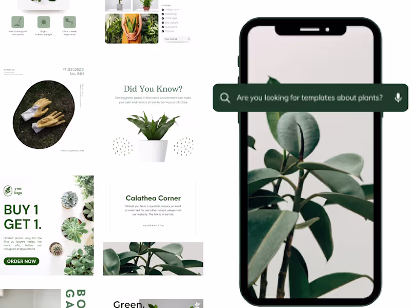 Cover image for Social Media Content