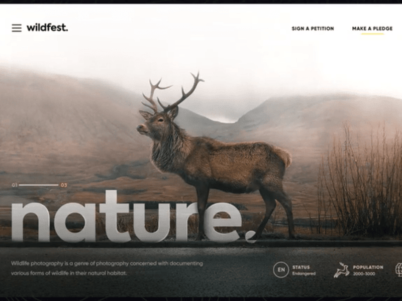 Cover image for Wildfest - Website Design
