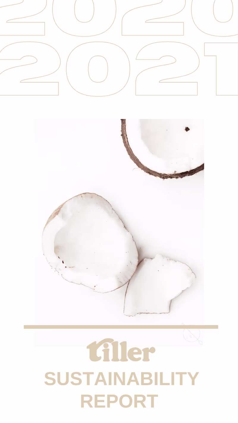 Cover image for Tiller Swim 2020-21 Sustainability Report