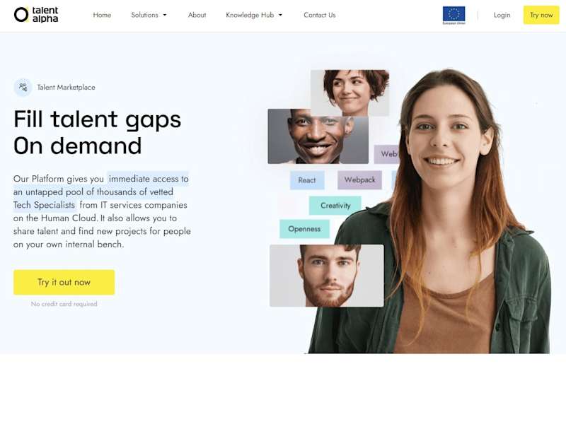 Cover image for Talent Alpha