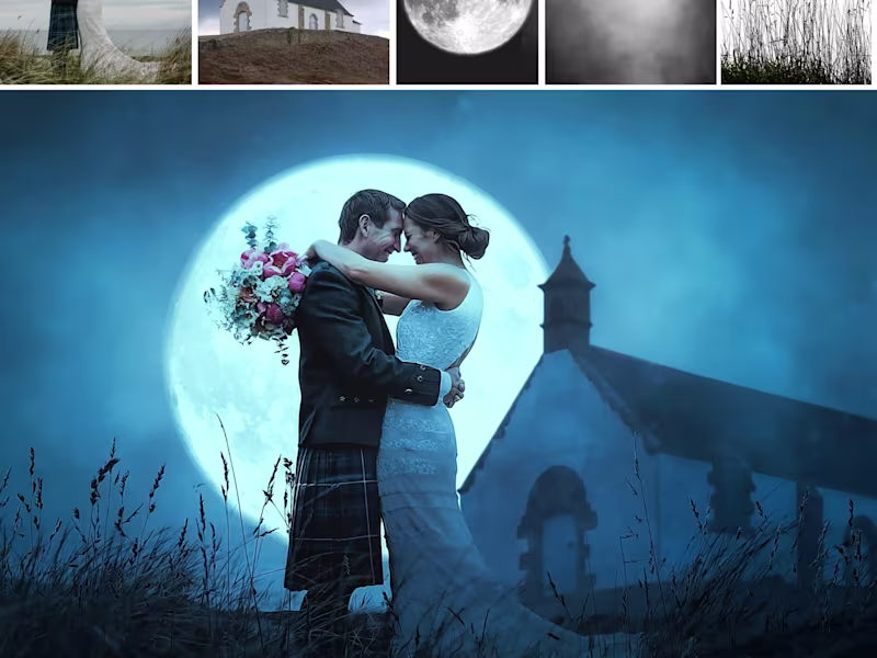 Cover image for any social media video editor 