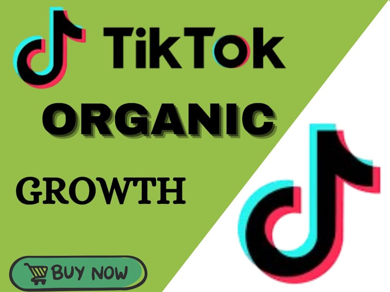Cover image for I will grow and build your tiktok account organically