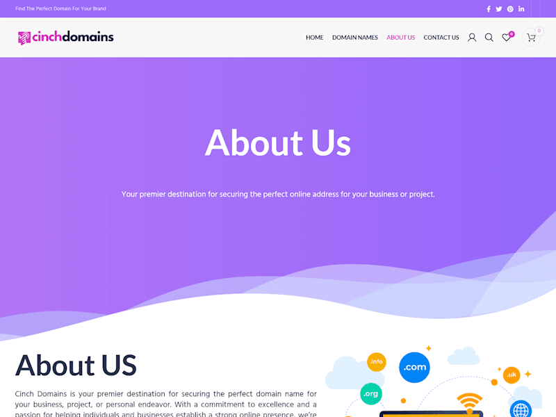 Cover image for Cinch Domains